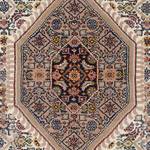 Teppich Mohammadi Bidjar Beige - 60 x 90 cm