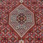 Teppich Mohammadi Bidjar Rot - 170 x 240 cm