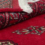 Teppich Pakistan Omara Delux Rot - 170 x 240 cm