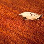 Teppich Prestige Orange - 60 x 110 cm
