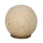 Tischleuchte Sea Shell Muschel - Beige - 1-flammig