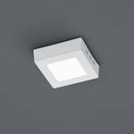 LED-Deckenleuchte Zeus Acrylglas / Aluminium - 1-flammig - Weißgrau / Weiß - Breite: 12 cm