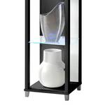 Vitrine Winnipeg I Eclairage LED - Verre clair / Noir