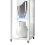 Vitrine Winnipeg I Eclairage LED Verre clair / Blanc