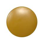 Wandhaken Button (2-delige set) massief berkenhout - Geel - Breedte: 10 cm