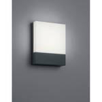 LED-wandlamp Pecos plexiglas/aluminium - 1 lichtbron - Antracietkleurig/wit