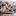 Fotomurale Home Flowerbed Tessuto non tessuto - Grigio / Rosa - 100 x 70 cm