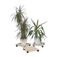 Pflanzenroller 3er Set