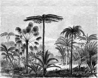 Fototapete tropische Landschaft mit Palm