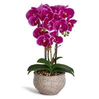 Kunstpflanze Violett Orchidee 42 cm
