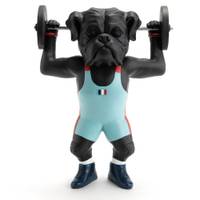 Chien Haltérophilie