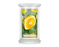 Große Classic Candle Citrus and Sage