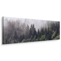 Image Panorama Forêt Dans le Brouillard