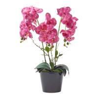 Künstliche pinke Phalaenopsis-Orchidee