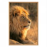 Tableau mural mat encadré lion 65x97 cm