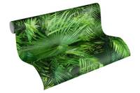 Papier peint Jungle Palm