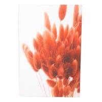 Toile fleurs de pampa   x