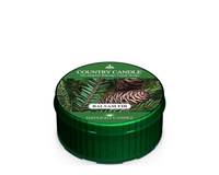 Daylight Balsam Fir