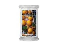 Große Classic Candle Iced Citrus