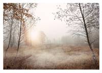 Vlies Fototapete Wiese Nebel Wohnzimmer