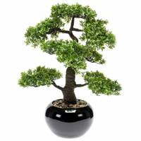 Mini bonsaï ficus artificiel