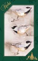 Glasvögel (Meise) auf Clip 11cm