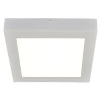 LED-plafondlamp Simplex I