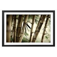 Bild Bamboo Forest