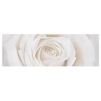 Tableau déco Pretty White Rose I