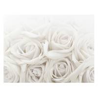Tableau déco roses blanches