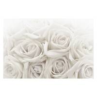 Vliestapete Weiße Rosen
