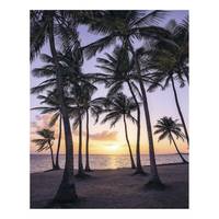 Vlies Fototapete Palmtrees on Beach