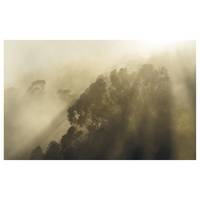 Fotobehang Misty Mountain