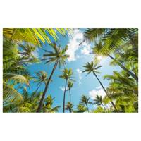 Fotobehang Coconut Heaven