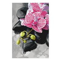 Schilderen op Nummer - Rozerode Orchidee