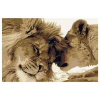 Peinture par numéro - Couple de lions