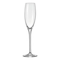 Champagneglazen Cheers (set van 6)