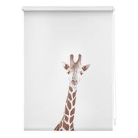 Klemmfix Rollo Giraffe