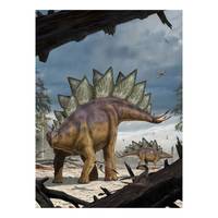 Vlies-fotobehang Stegosaurus