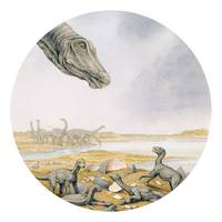 Papier peint intissé Young Titanosaurs