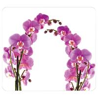 Multi-plaat Orchideeënbloemen