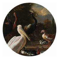Behang Rijksmuseum Birds