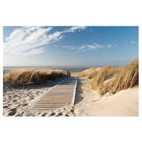 Fotomurale Spiaggia Mar Baltico II