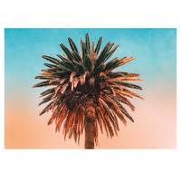 Poster Palm Tree