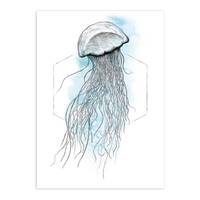 Afbeelding Jellyfish