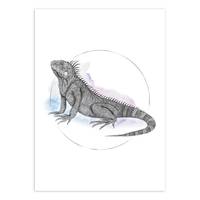 Afbeelding Iguana Watercolor