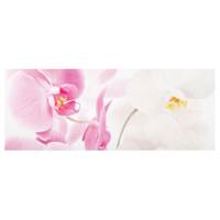 Tableau en verre Delicate Orchids