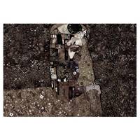 Fotomurale Klimt Recalling Tenderness