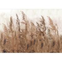 Vlies-fotobehang Tall Grasses