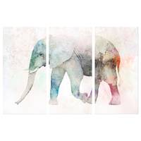 Wandbild Painted Elephant (3-teilig)